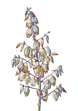 Stained Glass Botanical