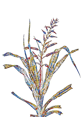 Rainbow Mosaic Flower