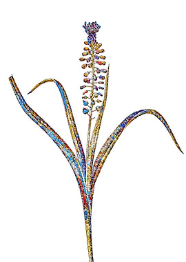 Stained Glass Botanical