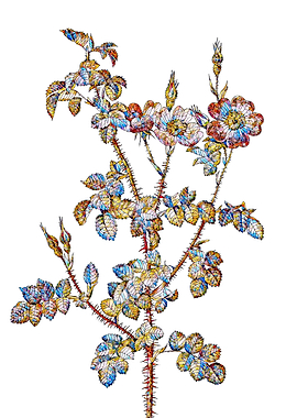 Stained Glass Rose Flower