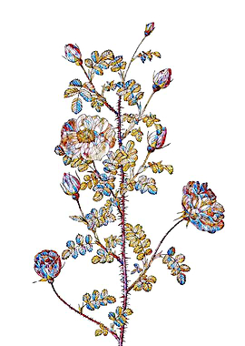 Stained Glass Rose Flower