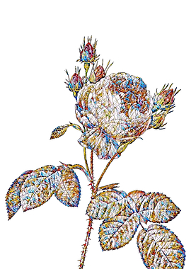 Stained Glass Rose Flower