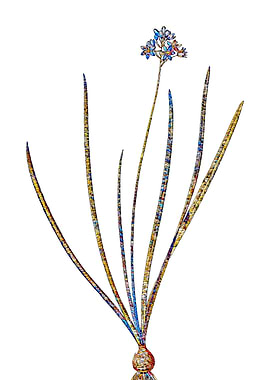 Prismatic Mosaic Floral