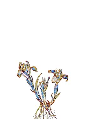 Stained Glass Iris Flower