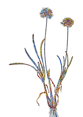 Stained Glass Amaryllis