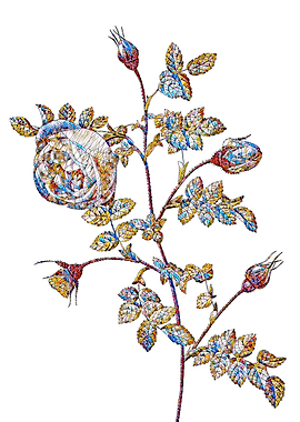 Stained Glass Rose Flower