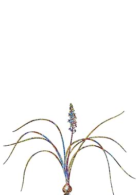 Stained Glass Botanical