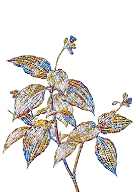 Prismatic Mosaic Floral