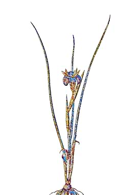 Rainbow Mosaic Flower