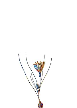 Stained Glass Ixia Flower