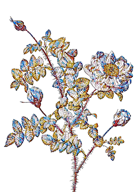 Stained Glass Rose Flower