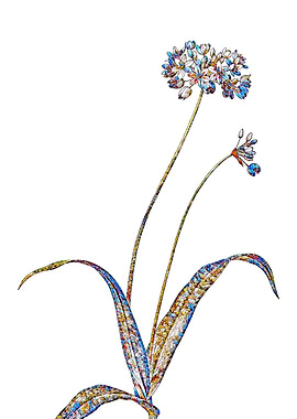 Stained Glass Amaryllis