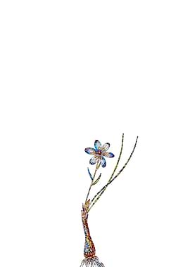 Stained Glass Lily Flower