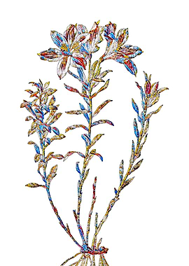 Stained Glass Lily Flower