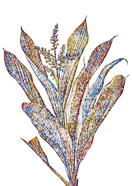 Stained Glass Botanical