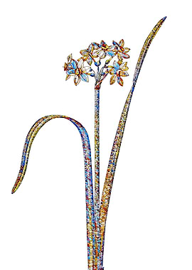 Stained Glass Daffodil