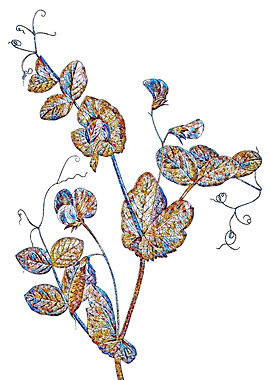 Prismatic Mosaic Floral