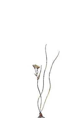 Rainbow Mosaic Flower