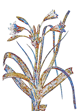 Stained Glass Lily Flower