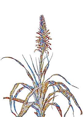 Rainbow Mosaic Flower