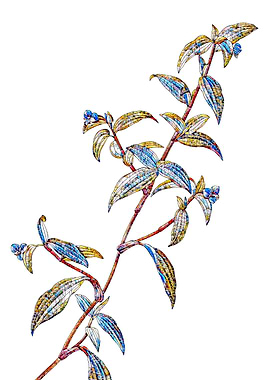 Stained Glass Botanical