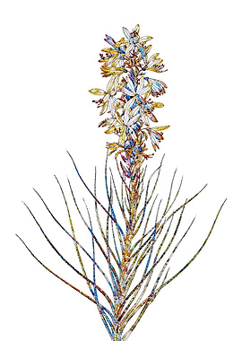 Prismatic Mosaic Floral