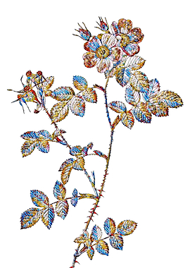 Stained Glass Rose Flower