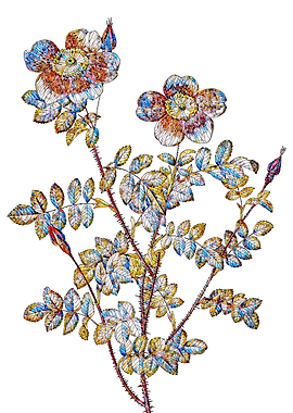 Stained Glass Rose Flower