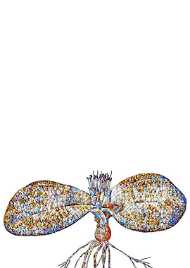 Stained Glass Botanical