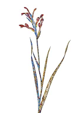 Stained Glass Gladiolus