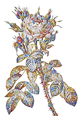 Stained Glass Rose Flower