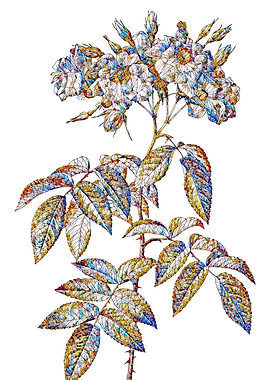 Stained Glass Rose Flower