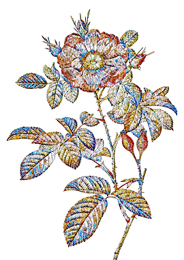 Stained Glass Rose Flower