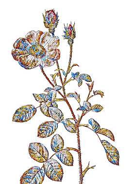 Stained Glass Rose Flower