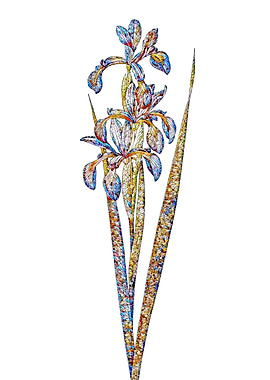 Stained Glass Iris Flower