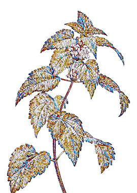 Prismatic Mosaic Floral