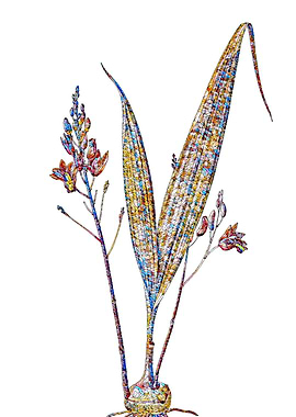 Rainbow Mosaic Flower