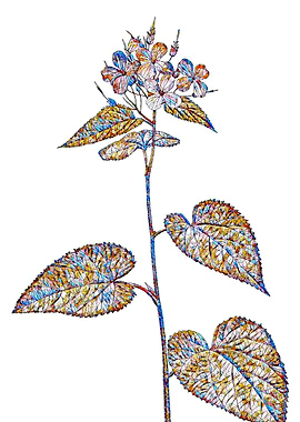Stained Glass Botanical