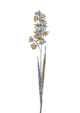 Stained Glass Ixia Flower
