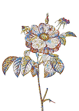 Stained Glass Rose Flower