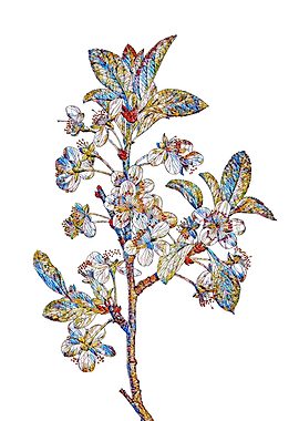 Prismatic Mosaic Floral