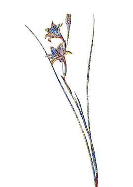 Stained Glass Gladiolus