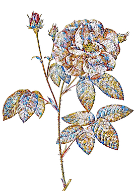 Stained Glass Rose Flower