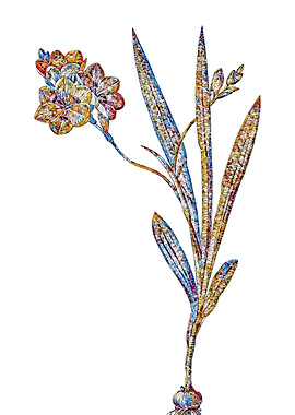 Stained Glass Ixia Flower