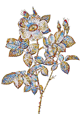 Stained Glass Rose Flower