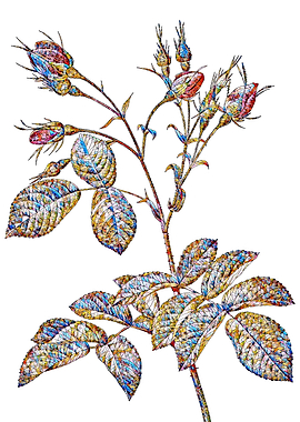 Stained Glass Rose Flower