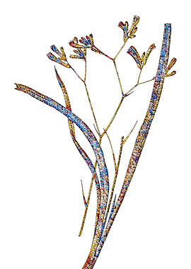 Stained Glass Botanical