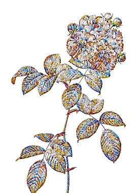 Stained Glass Rose Flower
