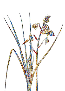 Stained Glass Lily Flower