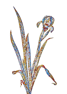 Stained Glass Iris Flower